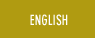 English Version